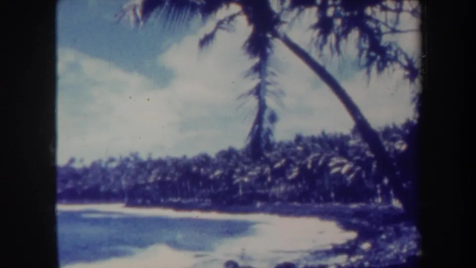 1967 Honolulu beach view with calm blue water, a pale shoreline, and a leaning palm crossing the upper frame.