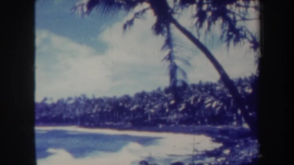1967 Honolulu shoreline footage showing blue water, light sand, a leaning palm trunk, and dense palms beyond the beach.