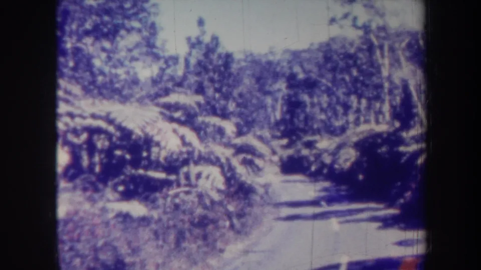 1967 Honolulu home-movie frame showing tropical vegetation crowding a narrow road, with deep shadows and aged film color shift.