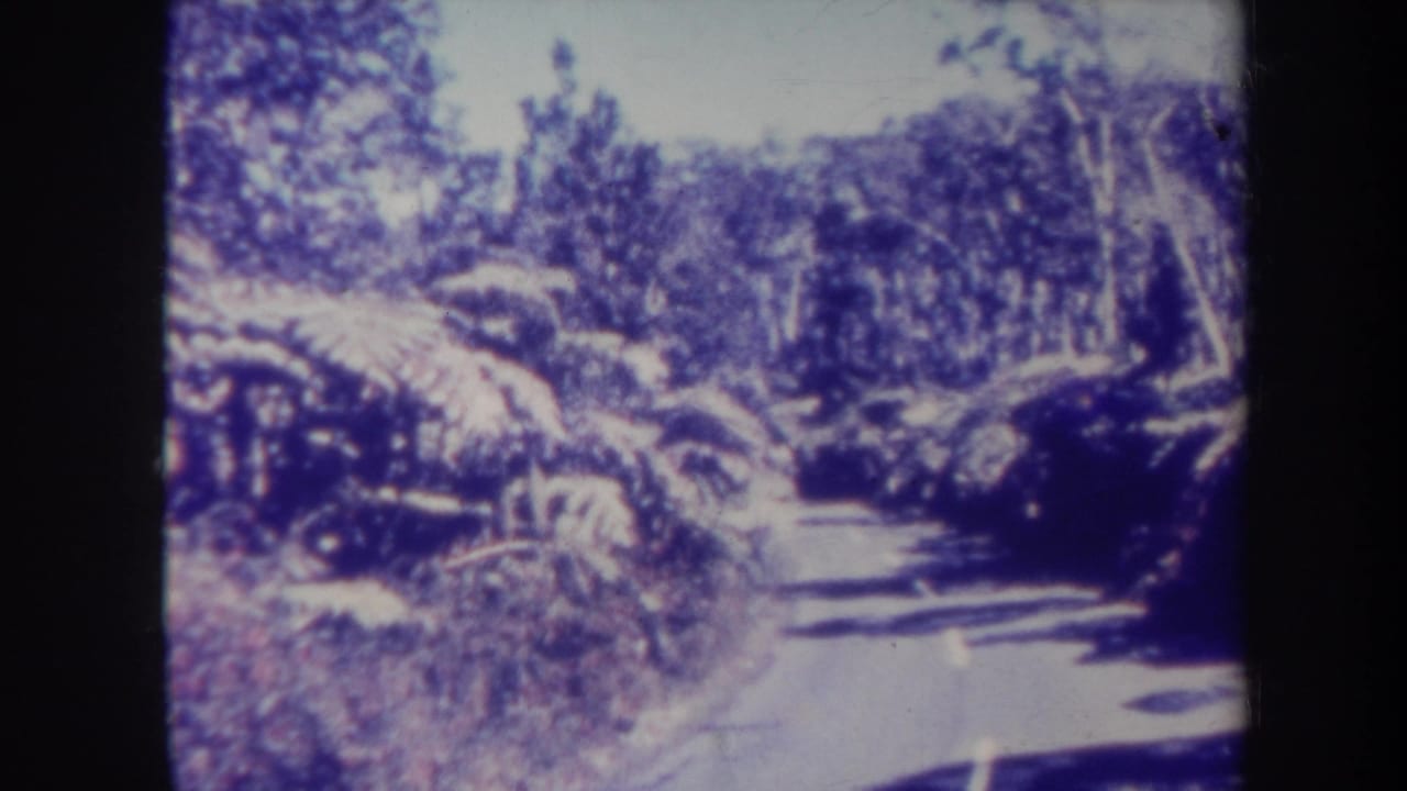 1967 Honolulu-area home-movie frame showing a narrow road cutting through rocky tropical vegetation with ferns, trees, and strong blue-purple film cast.