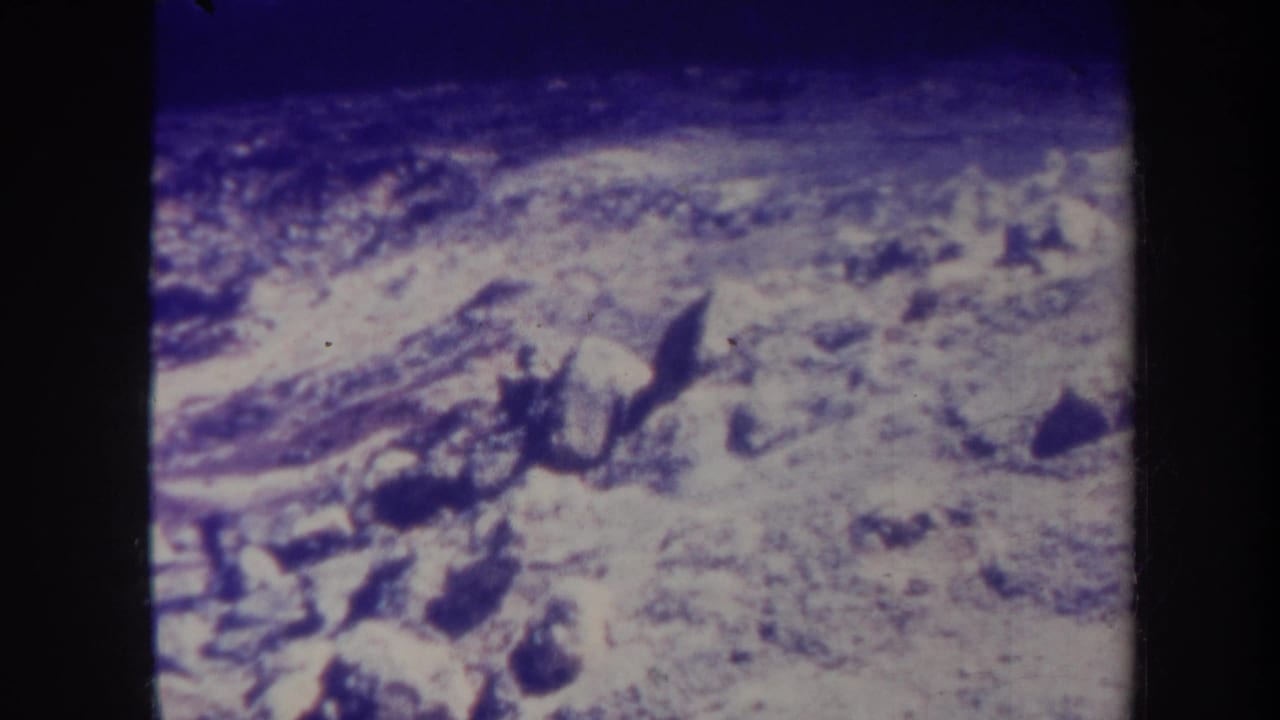 Pale rocky hillside or snow-covered ground with scattered stones and a strong blue-purple film cast.