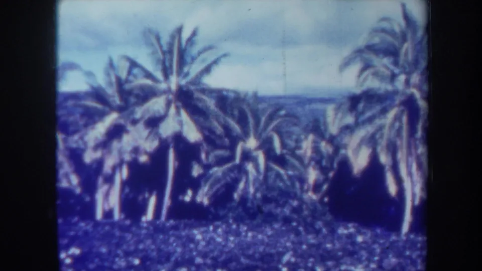 1967 Honolulu 8mm frame showing palm trees near distant water beneath a cloudy sky, with soft focus and faded blue color.