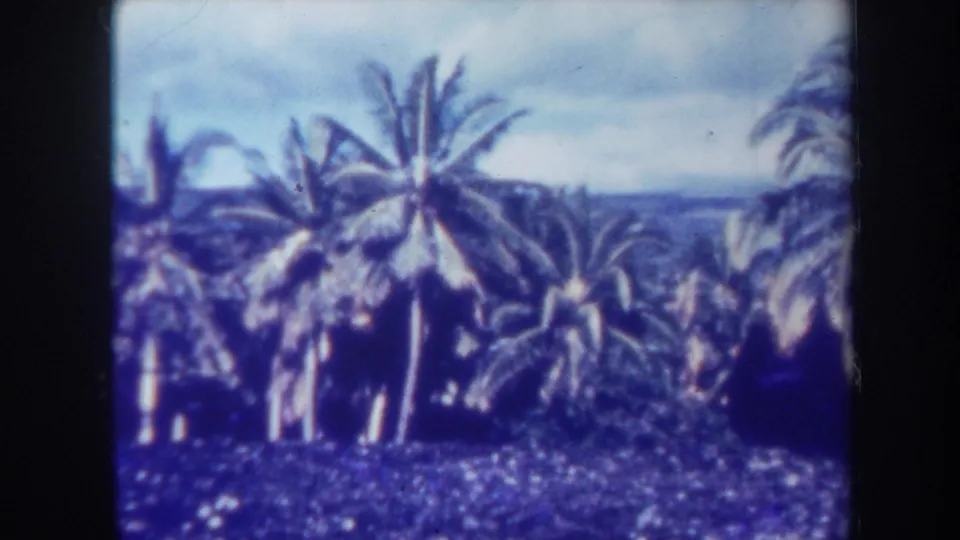 1967 Honolulu 8mm frame of tropical palms and distant shoreline or water, with visible grain and faded blue-purple color.