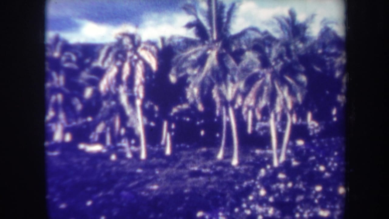 1967 Honolulu 8mm frame showing palms on a rocky coastal edge, with ocean, distant hills, and cloudy sky in a blue-tinted scan.