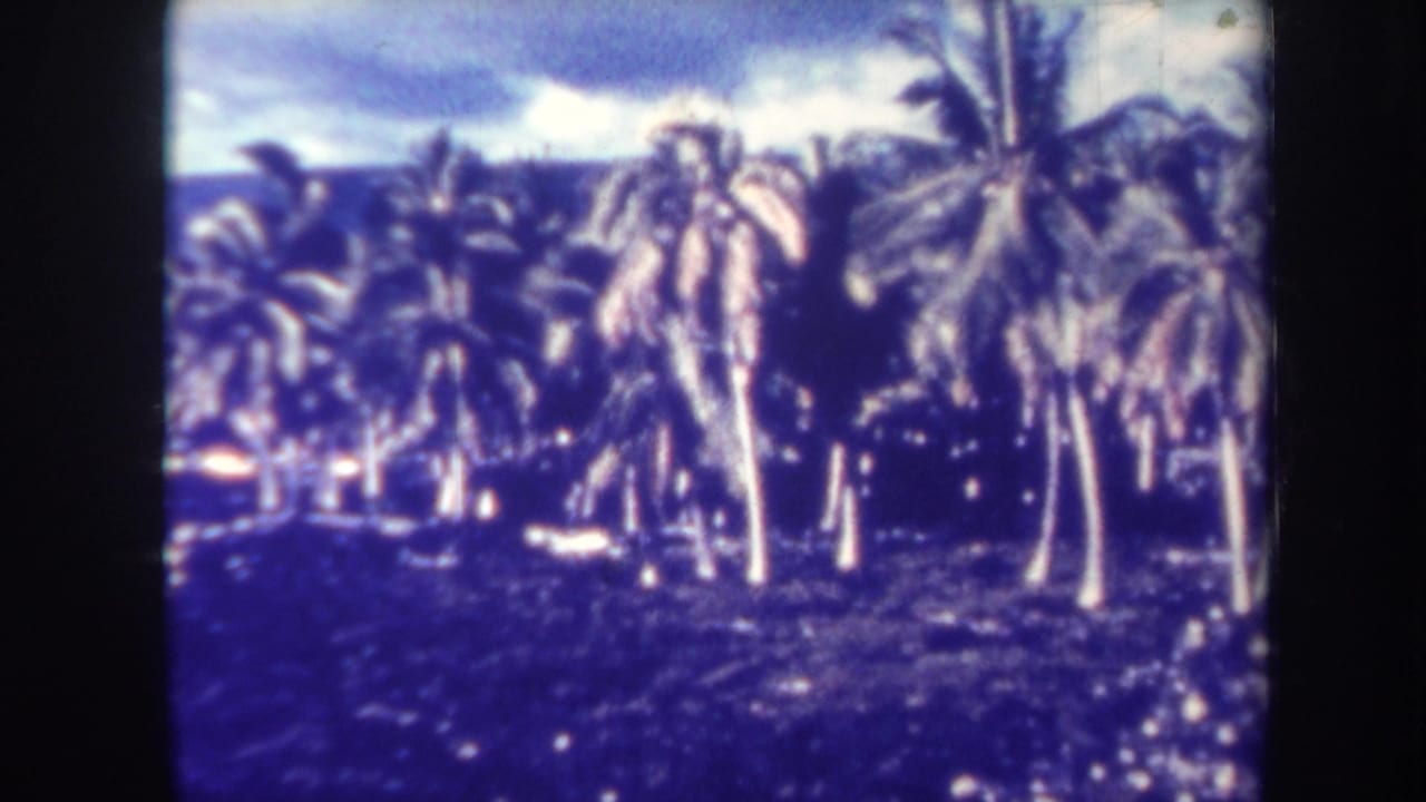 Dense palms beside a dark shoreline with ocean and hills under clouds.