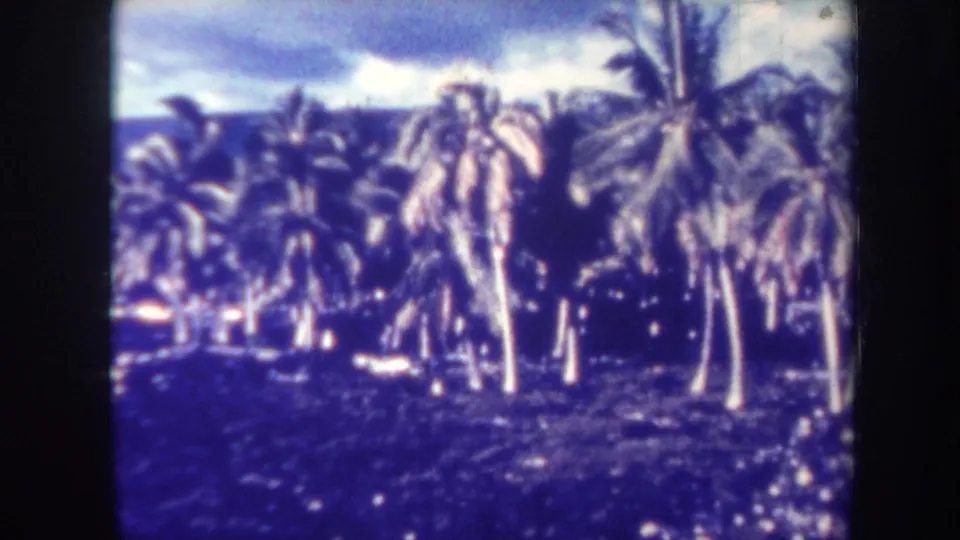 1967 Honolulu home-movie frame with a dense group of palms, dark coastal ground, ocean water, and distant hills under a cloudy sky.
