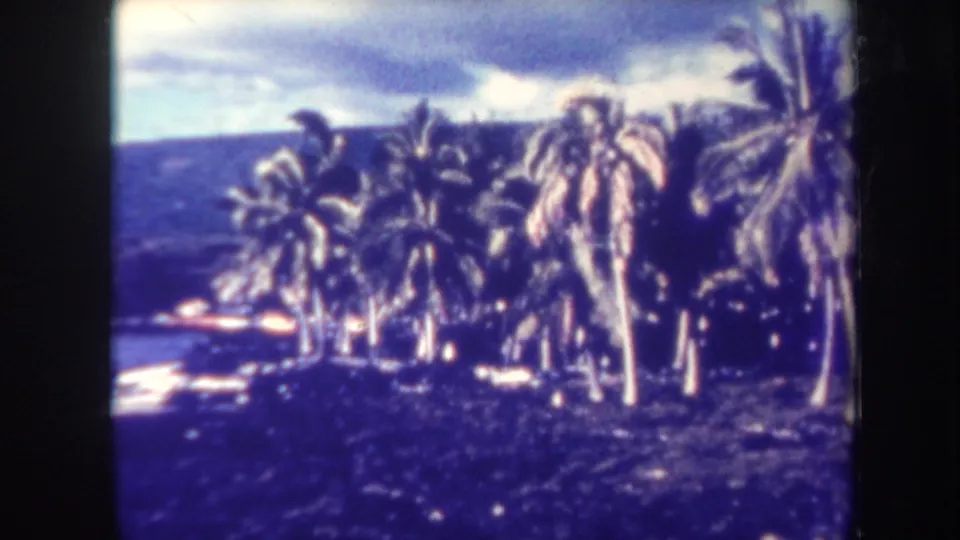 Blue-shifted 1967 Honolulu 8mm frame showing palms, coastal vegetation, water, and a low hillside beyond the shore.