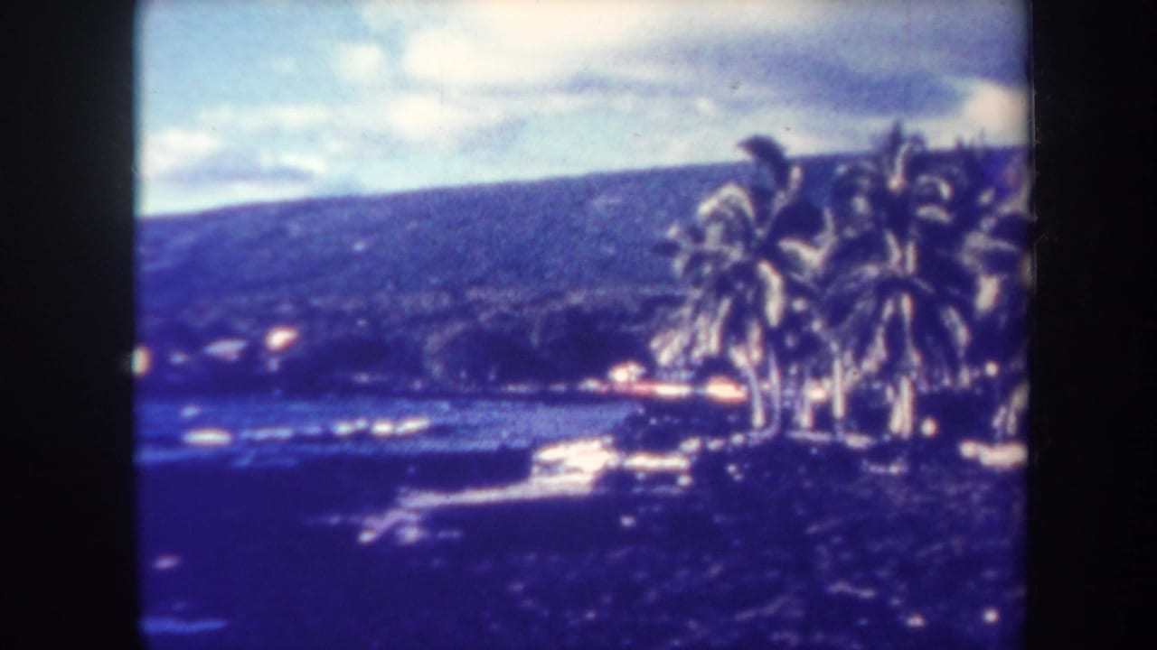 Coastal view with palms at right, water in the foreground, and hillside behind.