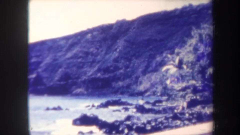 1967 Honolulu coastal frame showing a rocky beach, pale water, steep hillside, and palm foliage at the right edge.