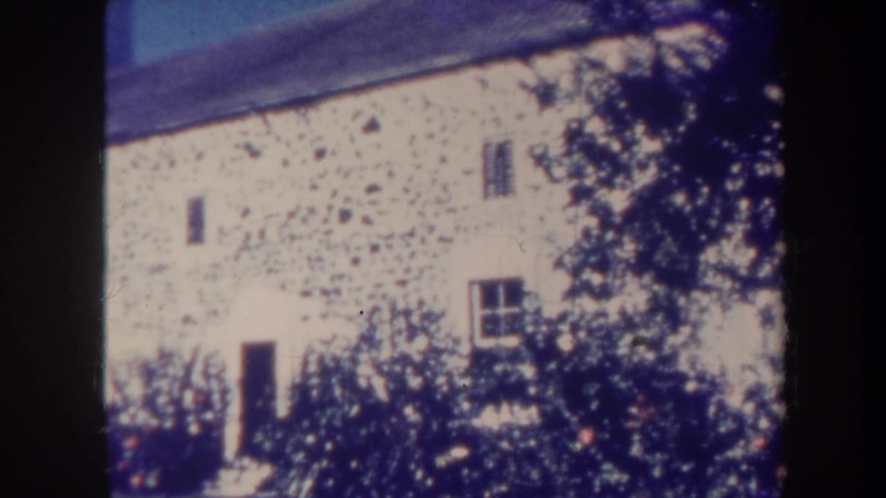 Long white building wall with small windows behind dark foliage.