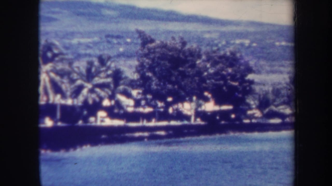 Waterfront with palms, dense trees, low buildings, and hills beyond the shore.