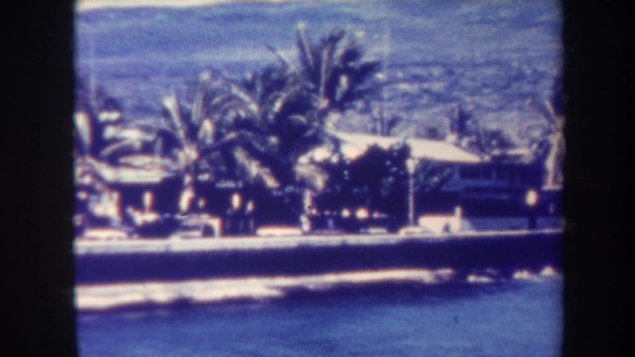 1967 Honolulu coastal frame with palms and light-colored homes behind a seawall as ocean waves break in the foreground.
