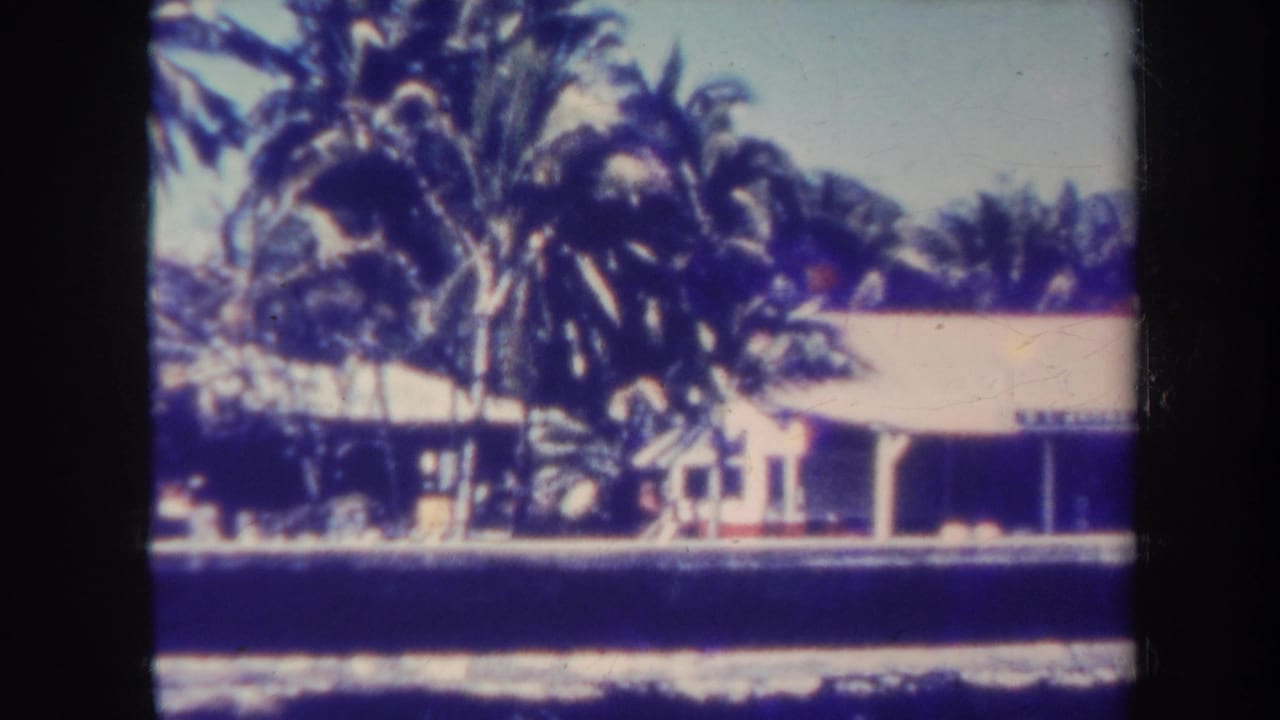 1967 Honolulu 8mm frame showing coconut palms around a low coastal building near the water.