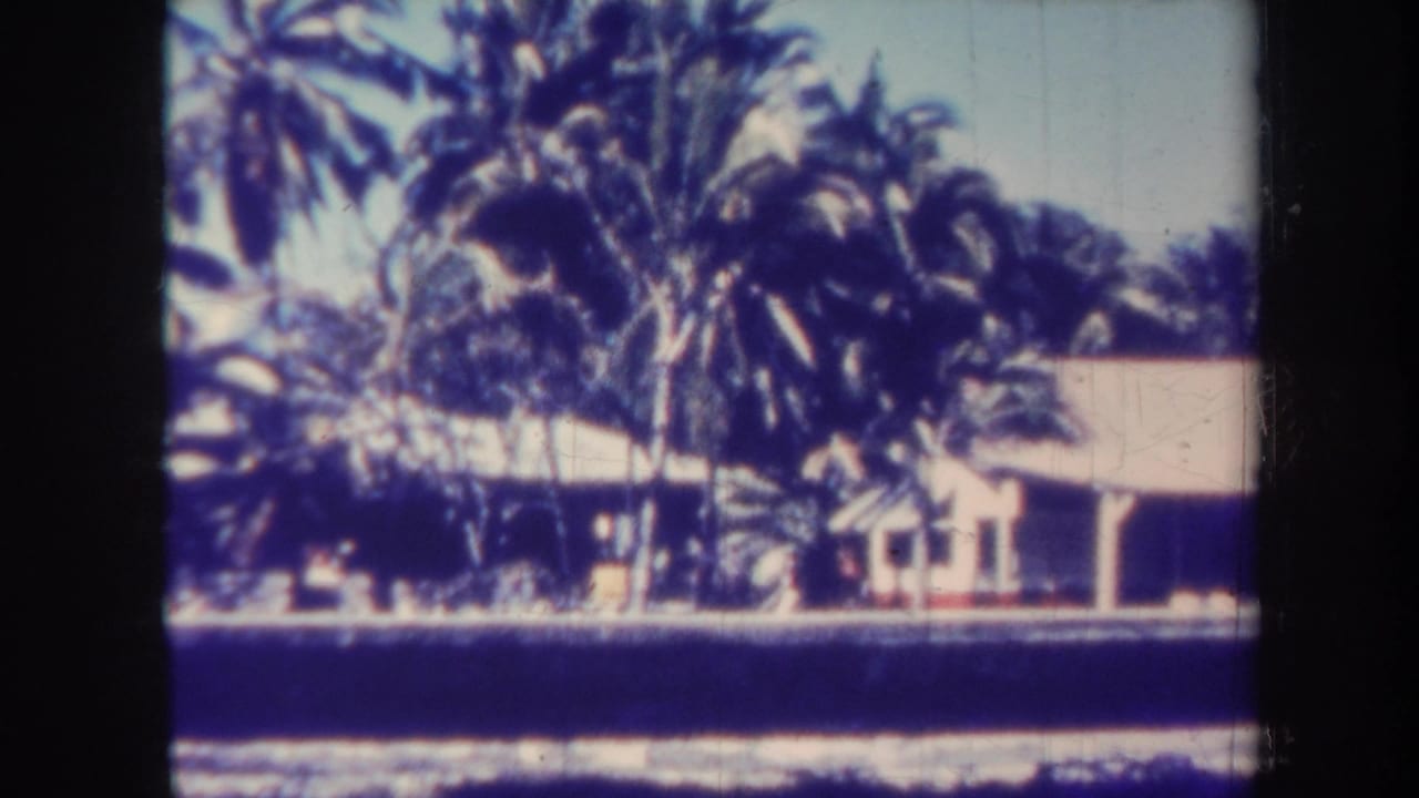 Palm trees and a low building seen across a strip of ocean.