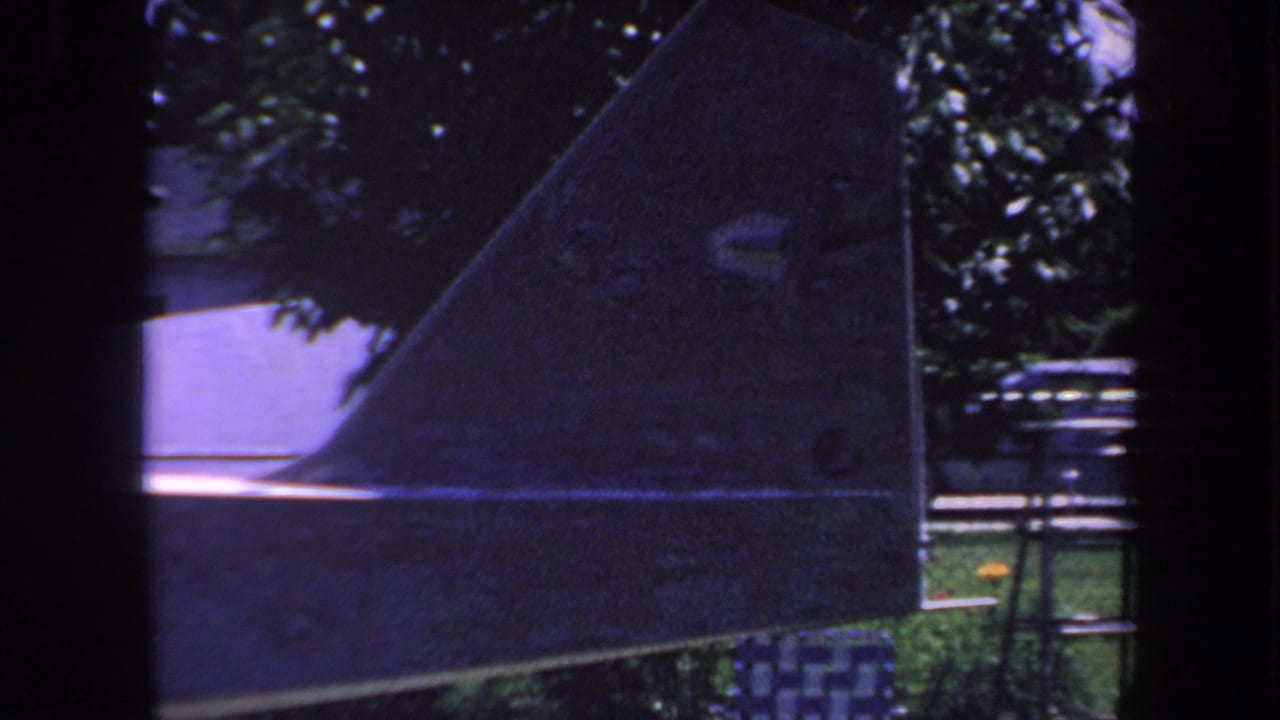 Airplane tail fin seen from the side with trees and yard details behind it.