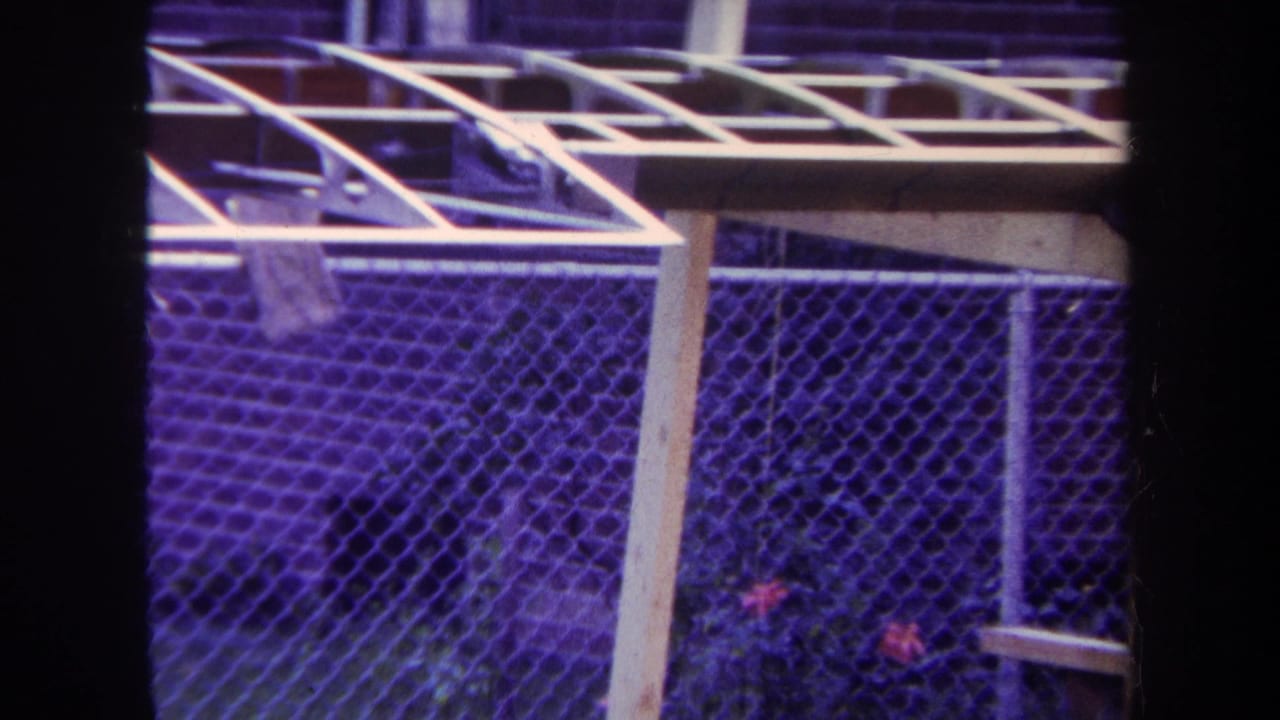 1969 Yucaipa home-movie frame showing a chain-link fence, wooden trellis beams, shrubs, and red flowers with a purple color cast.