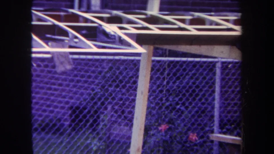 1969 Yucaipa home-movie frame showing a chain-link fence, wooden trellis beams, shrubs, and red flowers with a purple color cast.