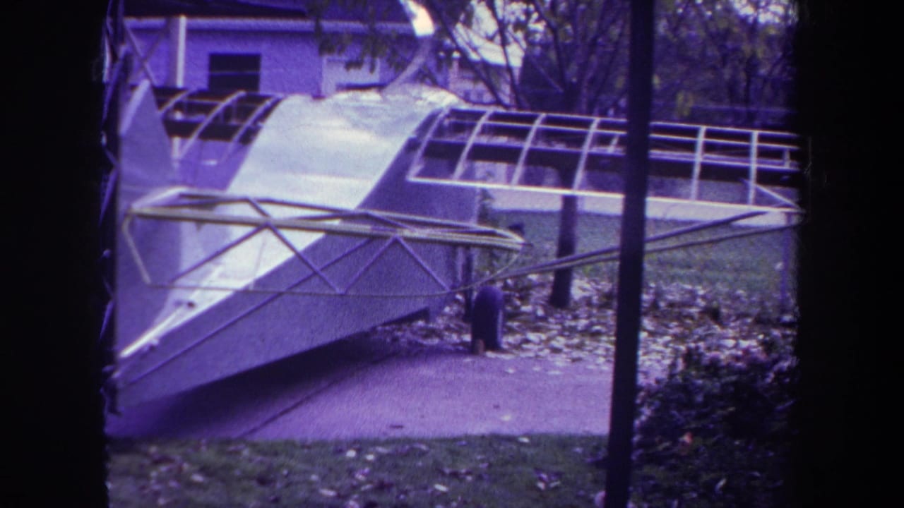 Hollow aircraft fuselage among trees with leaves on the ground.