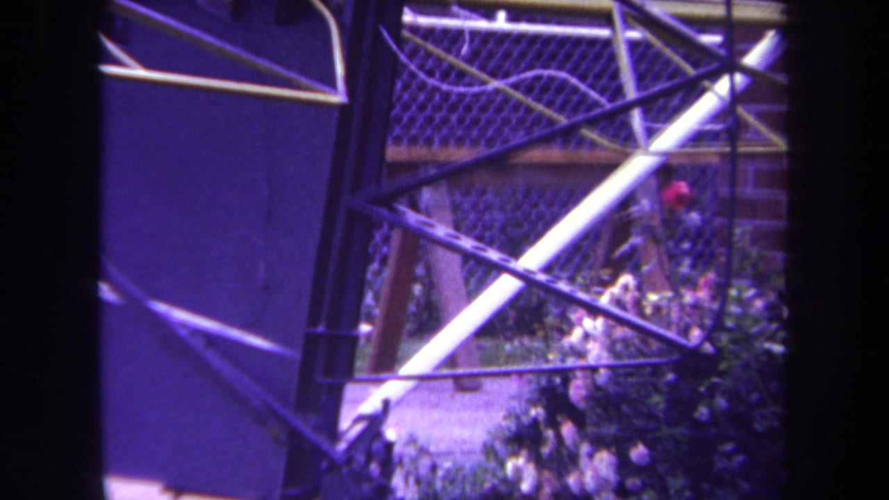 Close view of a blue metal chain-link gate beside grass and flowers.
