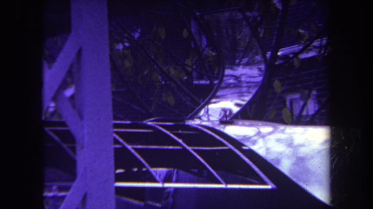 1969 Yucaipa frame with an aircraft tail under curved metal bars near foliage and a light wall, seen through vertical obstructions.