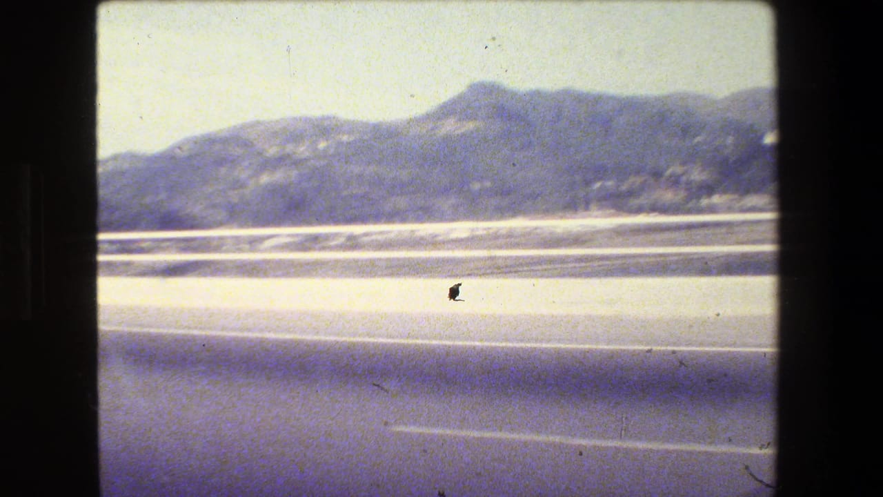 1984 San Francisco-area freeway view from a moving car, with hazy hills, water, guardrail, and 8mm frame edges.