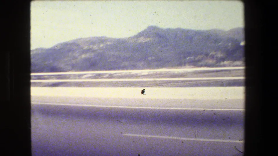 1984 San Francisco-area freeway view from a moving car, with hazy hills, water, guardrail, and 8mm frame edges.