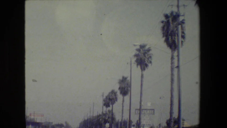 1984 California road footage shows tall palms, utility poles, and roadside signs viewed from a moving vehicle.