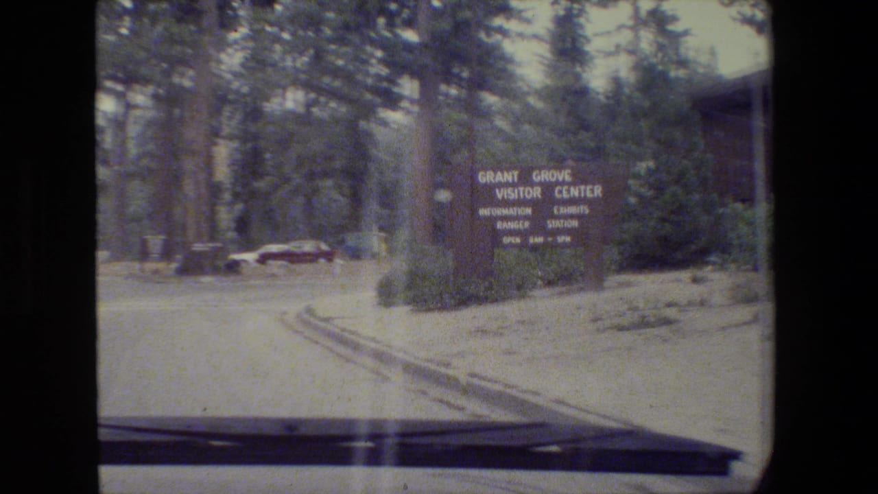 Roadside Grant Grove Visitor Center sign seen from a moving car in a forest.