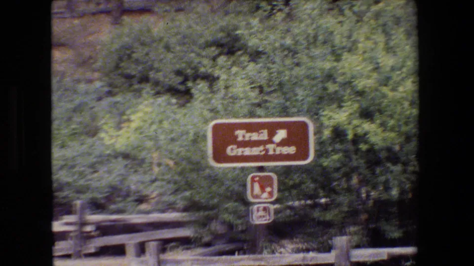 Brown park trail sign for the Grant Tree appears beside dense greenery in archival 8mm footage.