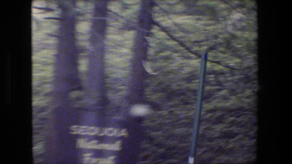 Motion-blurred 8mm frame with a roadside Sequoia National Forest sign passing in front of wooded terrain.