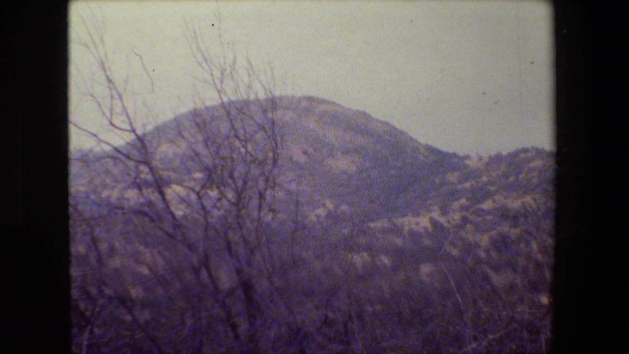 Distant rounded hill seen through bare branches under a pale sky.
