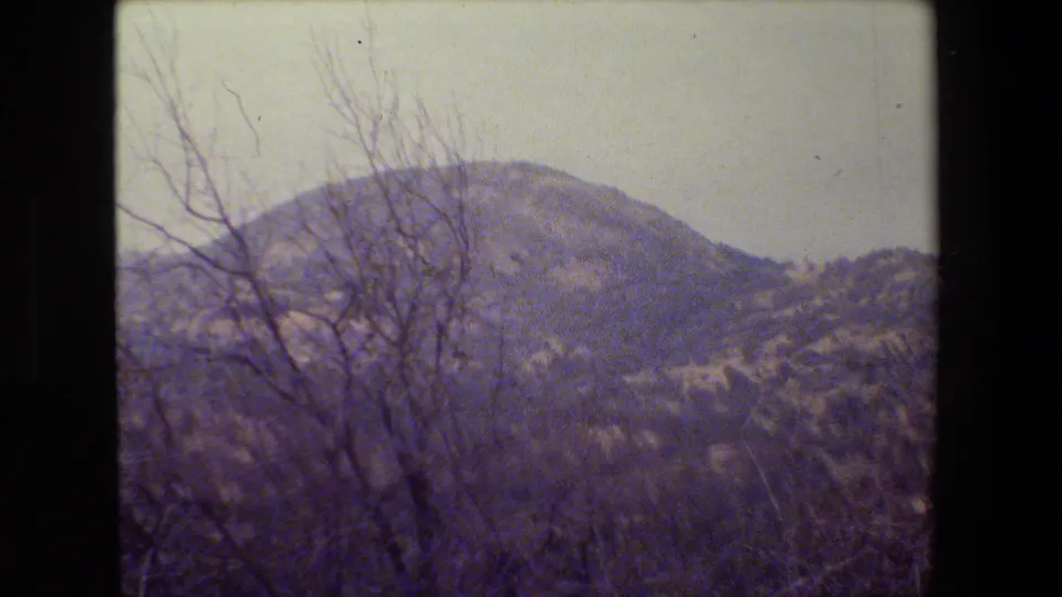1984 California 8mm frame showing a rounded hillside partly framed by bare trees and brush.