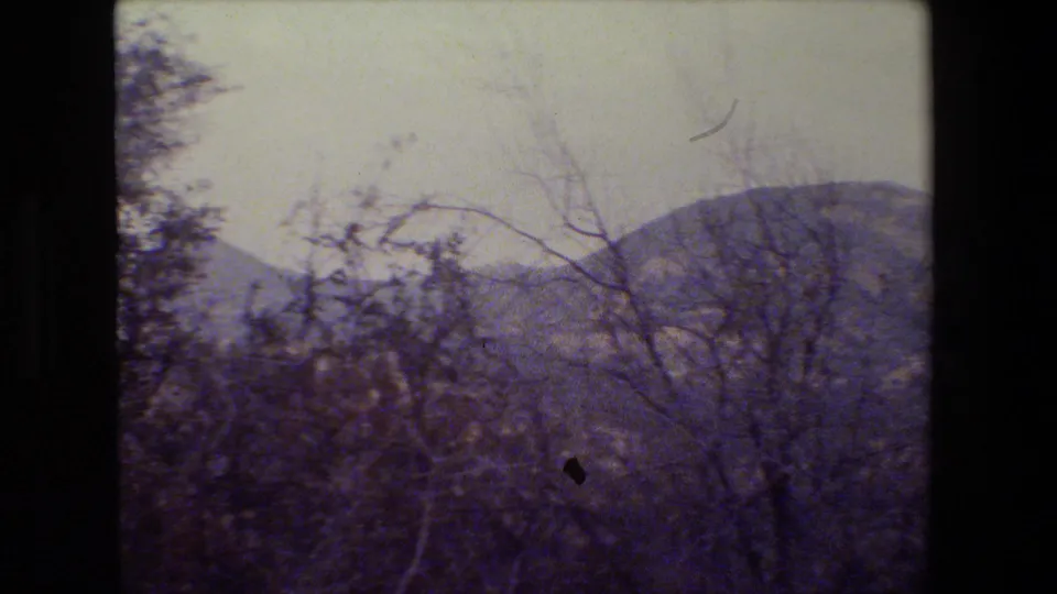 Faded 8mm view of a distant California hillside seen through dense trees and leafless branches.