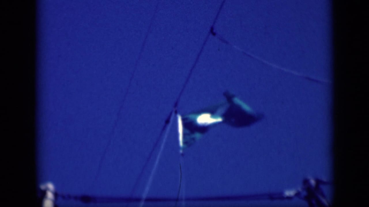 Flag on ship rigging with blue sky and a dark frame edge.