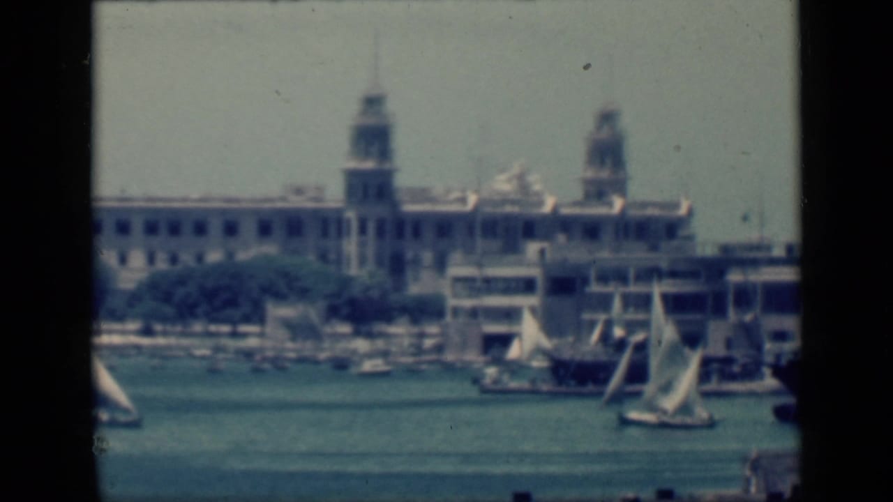 Several sailboats pass across water near a waterfront building and shore trees.
