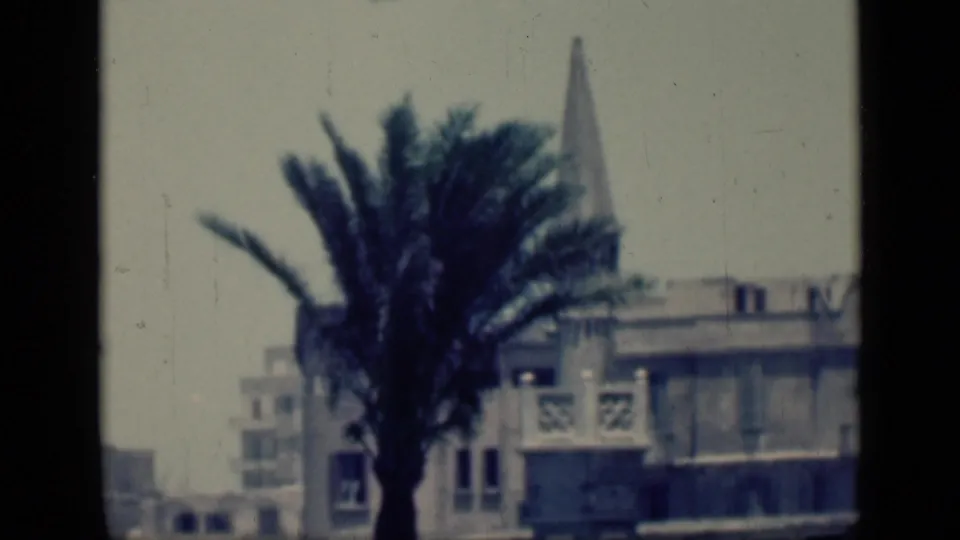 1946 Cairo, Egypt home-movie frame showing a palm tree, low rooftops, and a pointed tower or minaret in bright haze.