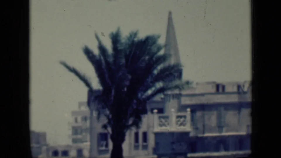 1946 Cairo, Egypt home-movie frame with a palm tree in front of low urban buildings and a distant pointed tower.