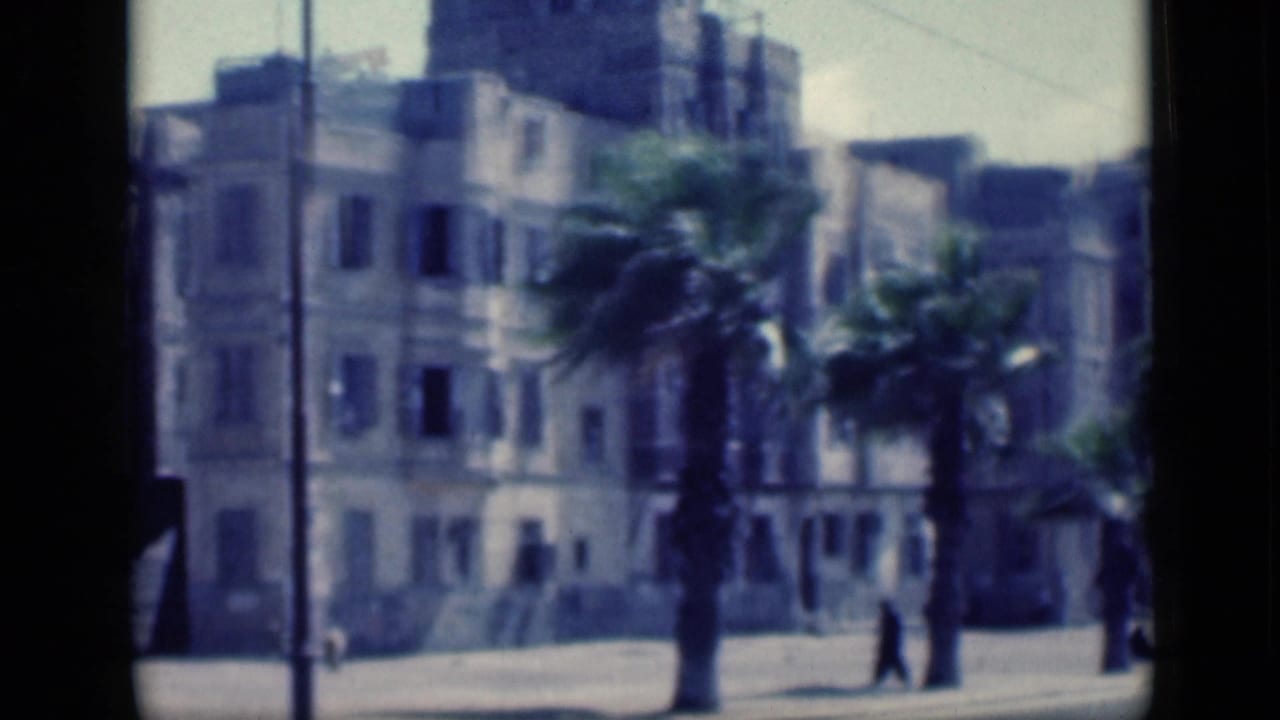 Windblown palms and pale buildings with a pedestrian near the sidewalk.