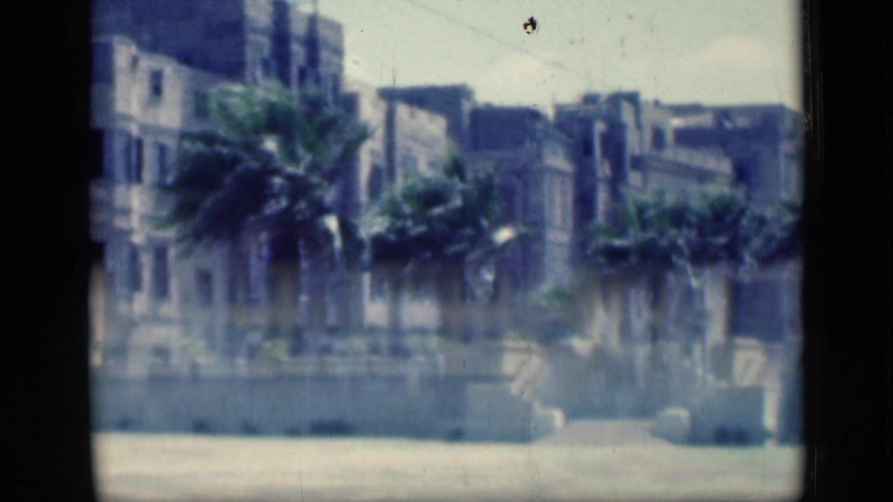 1946 Cairo home-movie frame showing palm trees before a pale, classical building facade, with soft focus and visible film borders.
