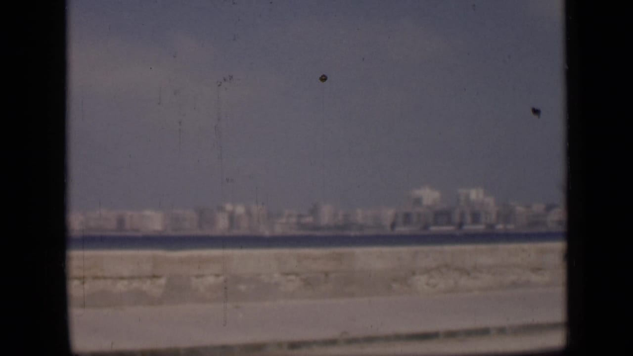 Far shoreline buildings under a hazy sky with water and a pale barrier in the foreground.