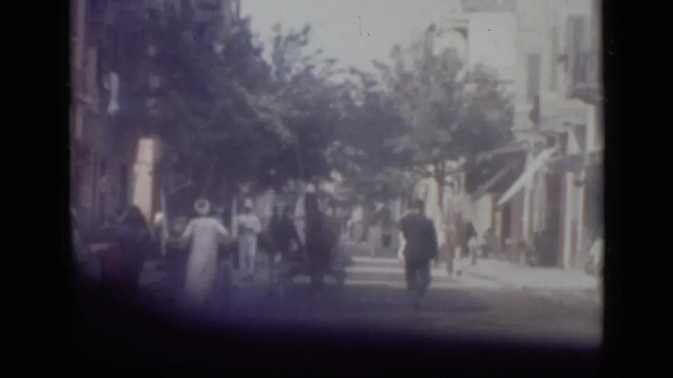 1946 Cairo shopping-area view showing pedestrians moving along the street under trees and storefront awnings.
