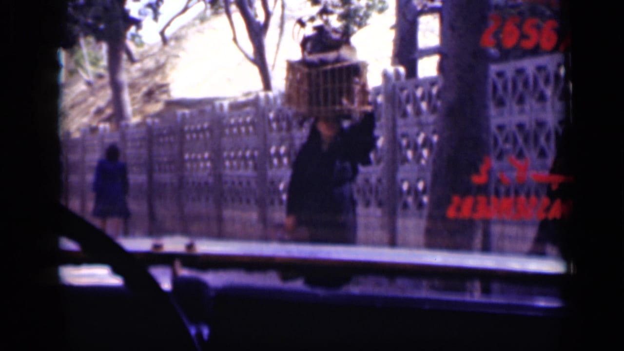 1946 Cairo street-side view from a moving camera, showing pedestrians by a railing, trees, and partial red lettering on the right.