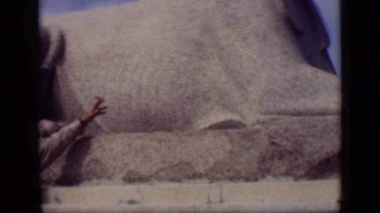 Partial view of a man gesturing beside the Sphinx body.