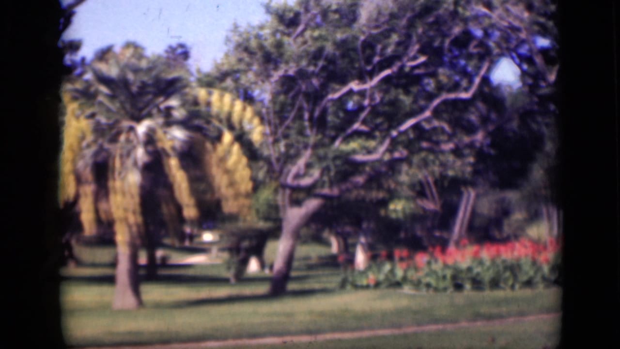 1946 Cairo frame showing a yellow-flowering tree, red flower bed, lawn edge, and mature trees in a bright garden setting.