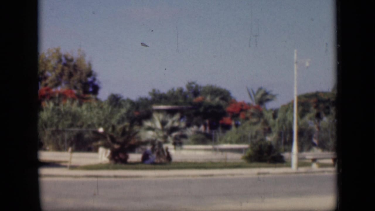 Roadside view with palms, low walls, a white lamppost, and distant seated figures.