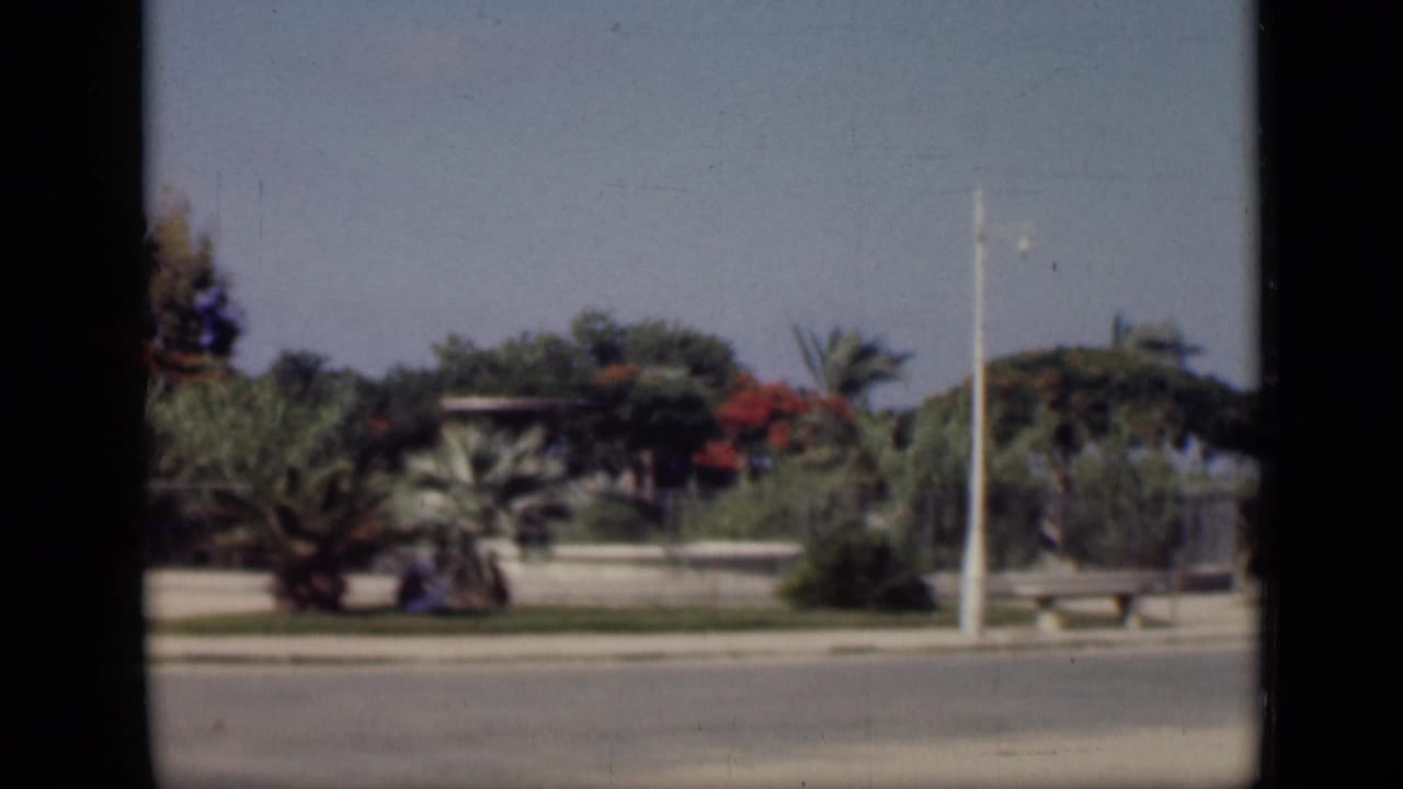 1946 Cairo frame from a moving vehicle, looking across a paved road toward palms, benches, a white lamppost, low walls, and distant greenery.