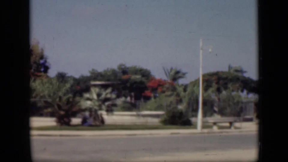 1946 Cairo frame from a moving vehicle, looking across a paved road toward palms, benches, a white lamppost, low walls, and distant greenery.