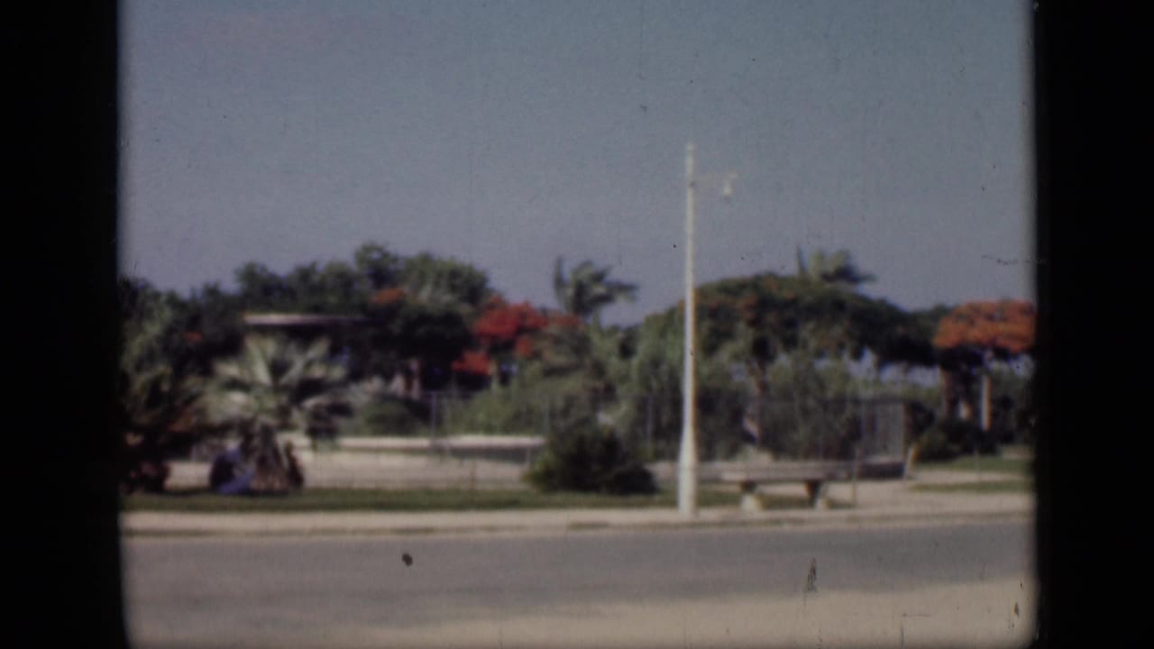 1946 Cairo home-movie frame showing a paved road, palms, flowering trees, a white lamppost, benches, and low roadside landscaping.
