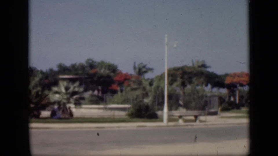 1946 Cairo home-movie frame showing a paved road, palms, flowering trees, a white lamppost, benches, and low roadside landscaping.