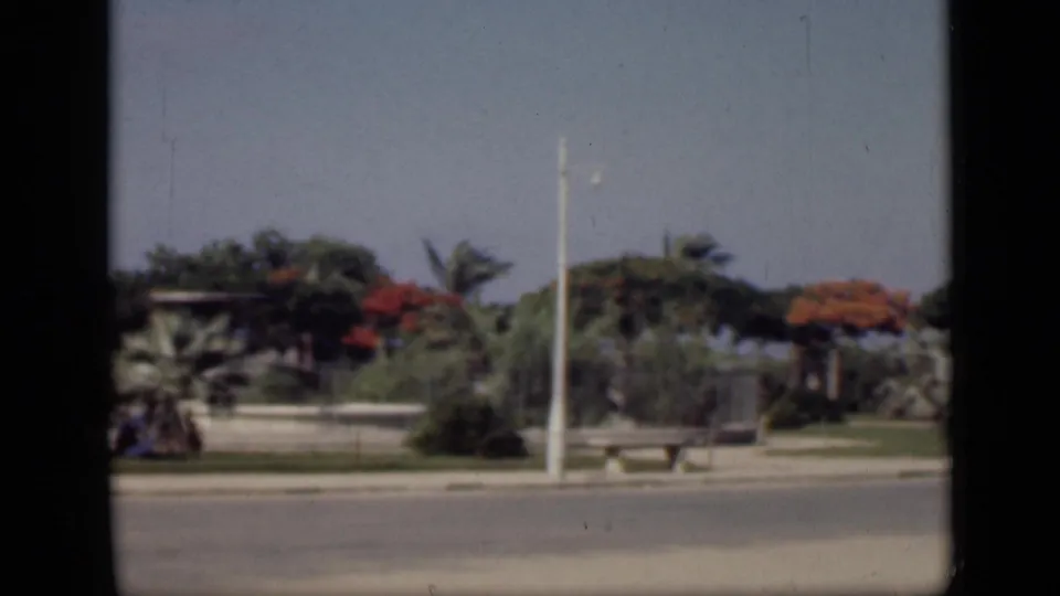 1946 Cairo home-movie view of a quiet road, pale benches, palms, red-flowering trees, and a white pole seen through dark frame edges.